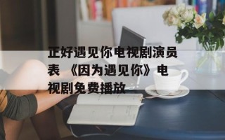 正好遇见你电视剧演员表 《因为遇见你》电视剧免费播放