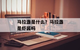 马拉盏是什么？马拉盏是虾酱吗