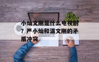 小灿文刚是什么电视剧？严小灿和温文刚的矛盾冲突