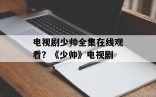 电视剧少帅全集在线观看？《少帅》电视剧