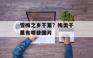 雪梅之乡干果？梅类干果有哪些图片