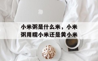 小米粥是什么米，小米粥用糯小米还是黄小米