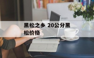 黑松之乡 20公分黑松价格