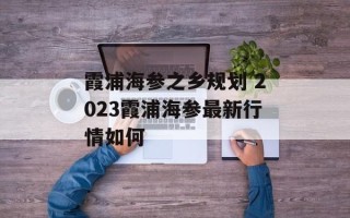 霞浦海参之乡规划 2023霞浦海参最新行情如何