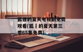 狐狸的夏天电视剧免费观看(狐貍的夏天第三季65集免费)