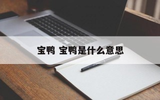 宝鸭 宝鸭是什么意思