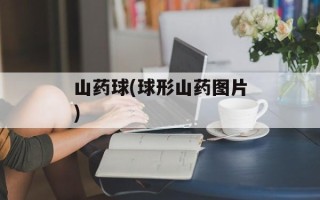 山药球(球形山药图片)