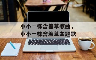 小小一株含羞草歌曲，小小一株含羞草主题歌