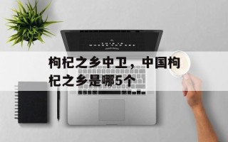枸杞之乡中卫，中国枸杞之乡是哪5个