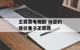 王霏霏电视剧 孙坚的现任妻子王霏霏
