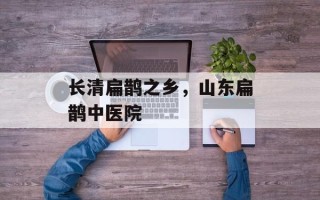 长清扁鹊之乡，山东扁鹊中医院