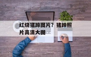 红烧猪蹄图片？猪蹄照片高清大图