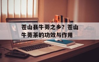 苍山县牛蒡之乡？苍山牛蒡茶的功效与作用