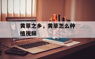 黄草之乡，黄草怎么种植视频