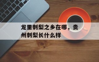 龙里刺梨之乡在哪，贵州刺梨长什么样