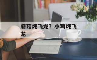 蘑菇炖飞龙？小鸡炖飞龙