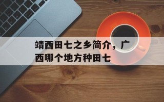 靖西田七之乡简介，广西哪个地方种田七