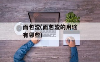 面包渣(面包渣的用途有哪些)
