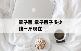 章子菌 章子菌子多少钱一斤现在