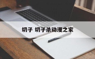 切子 切子杀动漫之家