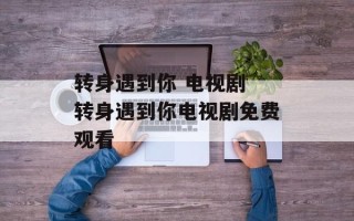 转身遇到你 电视剧 转身遇到你电视剧免费观看