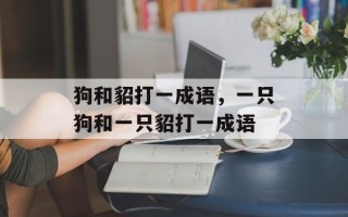 狗和貂打一成语，一只狗和一只貂打一成语