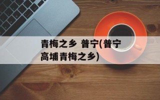 青梅之乡 普宁(普宁高埔青梅之乡)