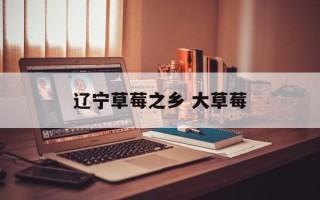 辽宁草莓之乡 大草莓
