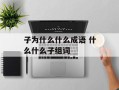 子为什么什么成语 什么什么子组词