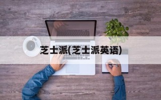 芝士派(芝士派英语)
