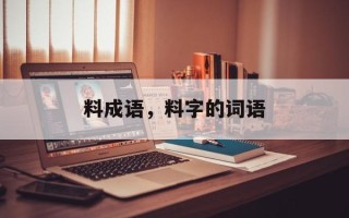 料成语，料字的词语