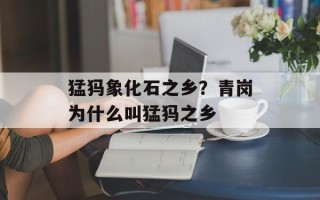 猛犸象化石之乡？青岗为什么叫猛犸之乡
