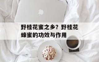 野桂花蜜之乡？野桂花蜂蜜的功效与作用