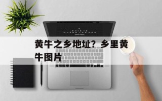 黄牛之乡地址？乡里黄牛图片