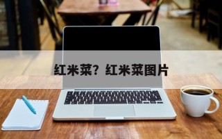 红米菜？红米菜图片