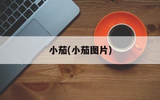 小茄(小茄图片)