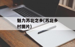 魅力苏北之乡(苏北乡村图片)
