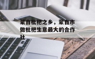 蒙自枇杷之乡，蒙自市做枇杷生意最大的合作社