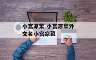 小宫凉菜 小宫凉菜外文名小宫凉菜