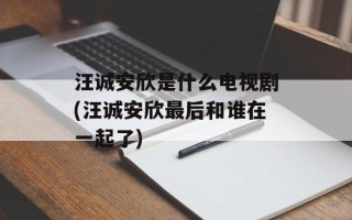 汪诚安欣是什么电视剧(汪诚安欣最后和谁在一起了)