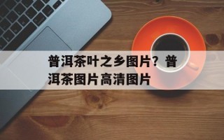 普洱茶叶之乡图片？普洱茶图片高清图片