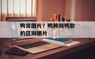 鸭肾图片？鸭肫和鸭胗的区别图片
