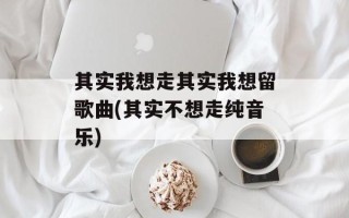 其实我想走其实我想留歌曲(其实不想走纯音乐)