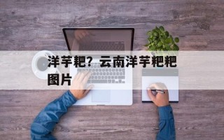洋芋耙？云南洋芋粑粑图片