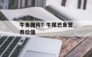 牛鱼图片？牛尾巴鱼营养价值