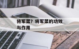将军菜？将军菜的功效与作用