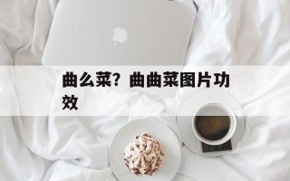 曲么菜？曲曲菜图片功效
