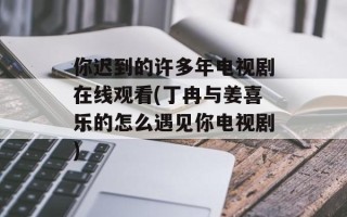 你迟到的许多年电视剧在线观看(丁冉与姜喜乐的怎么遇见你电视剧)