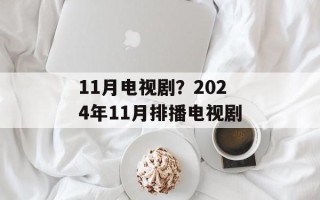 11月电视剧？2024年11月排播电视剧