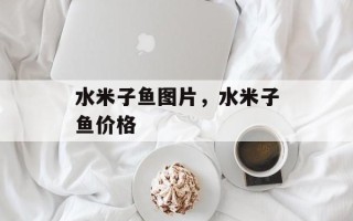 水米子鱼图片，水米子鱼价格
